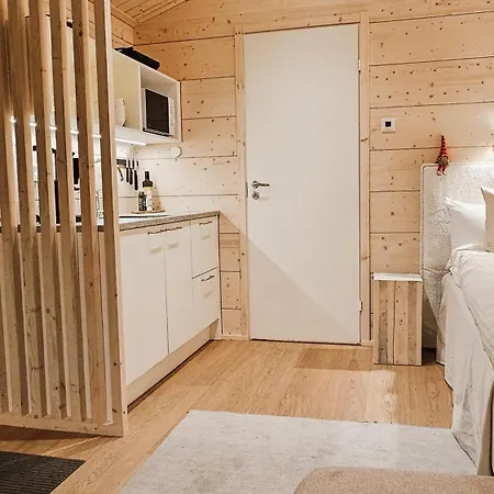 Kataja With Sauna And Jacuzzi *